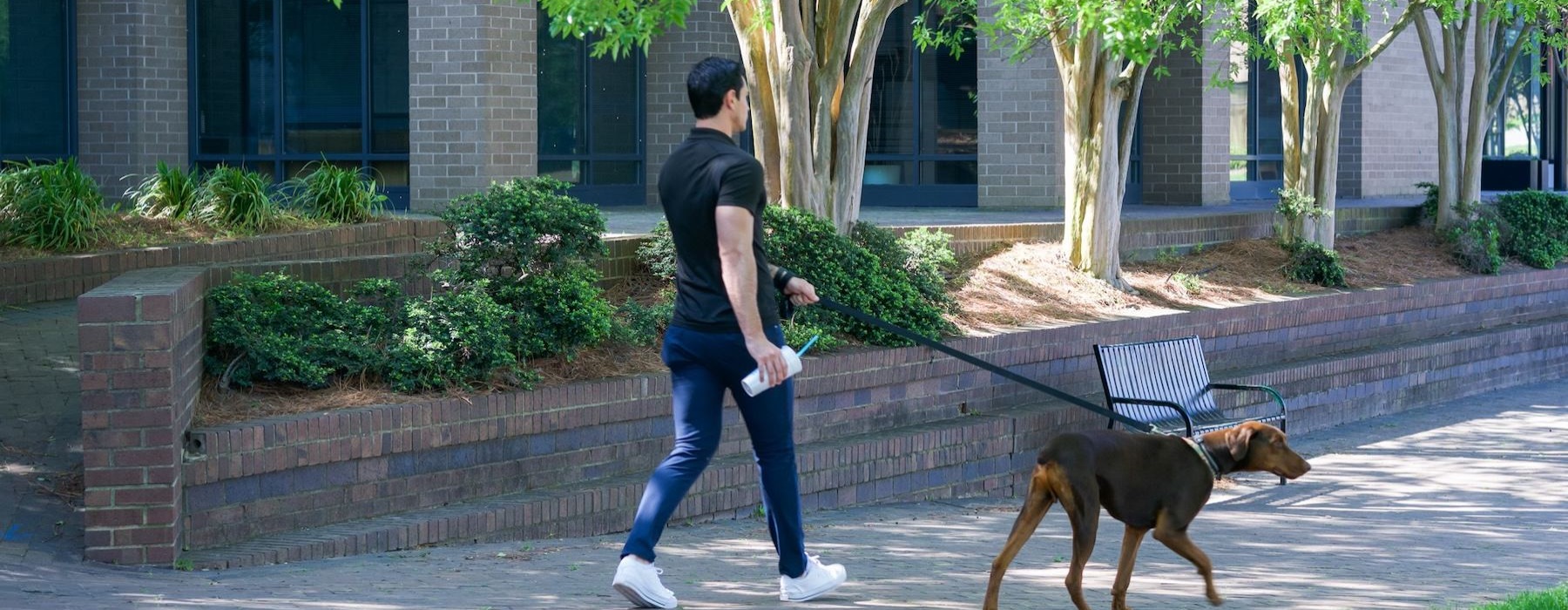 a person walking a dog