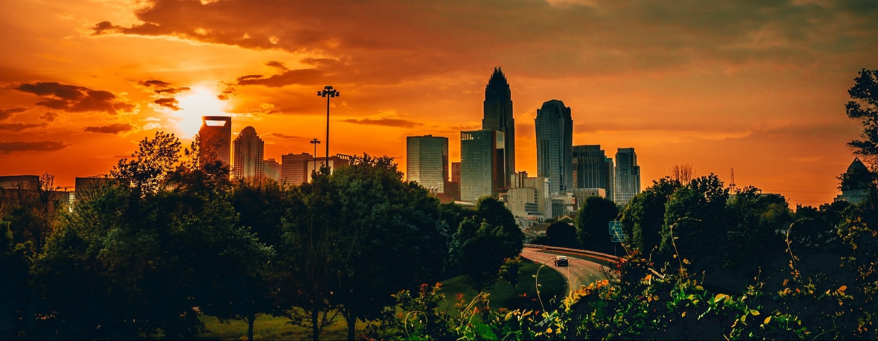 a city skyline with trees and a sunset