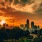 a city skyline with trees and a sunset